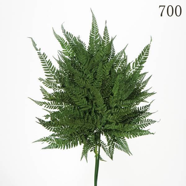 ドライフラワー 花材 とりよせ品 ヒメワラビ ドライ 自然素材 ナチュラルドライフラワー インテリア...