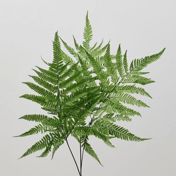 プリザーブドフラワー 花材 とりよせ品 ヒメワラビ・プリザーブド(5枚入り) 花材 素材 材料 パー...