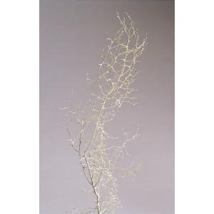 ドライフラワー 花材 即日出荷 キングプロテアSS ナチュラル スワッグ