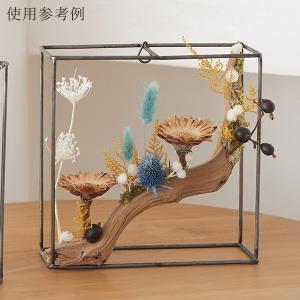 ドライフラワー 花材 とりよせ品 マンザニータ...の詳細画像3
