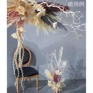 ドライフラワー 花材 とりよせ品 【メーカー直...の詳細画像2
