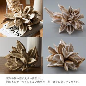 ドライフラワー 花材 とりよせ品 ソロロカ デ...の詳細画像1