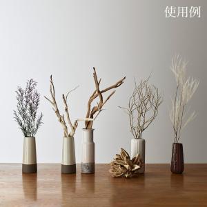 ドライフラワー 花材 とりよせ品 ソロロカ デ...の詳細画像2