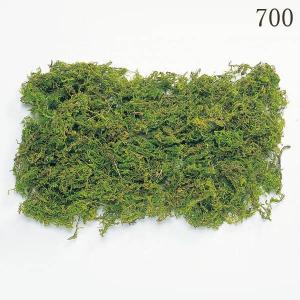 ドライフラワー 花材 とりよせ品 山ゴケ・小袋 ドライ 自然素材 ナチュラルドライフラワー インテリア インテリアフラワー プリ プリザ スワッグ 大地農園