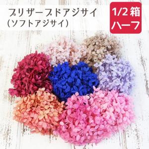 プリザーブドフラワー花材 花種類 アジサイ アレンジメント用品 資材 花 ガーデニング 通販 Yahoo ショッピング