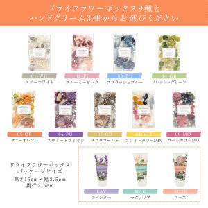 ドライフラワー プレゼント 即日出荷 ドライフ...の詳細画像2