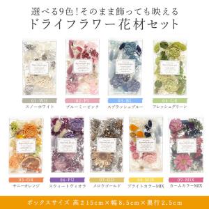 《 ドライフラワー 花材 》 ☆即日出荷☆花び...の詳細画像2