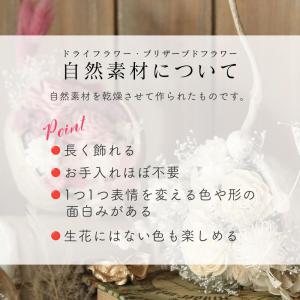 《 ドライフラワー 花材 》 ☆即日出荷☆花び...の詳細画像3
