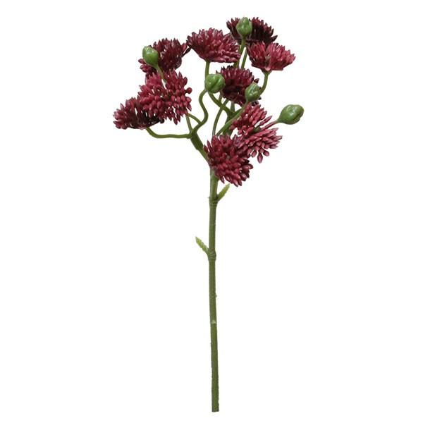 造花 グリーン 多肉植物 とりよせ品 セダムピック バーガンディ エアプランツ サッカレンテン サボ...