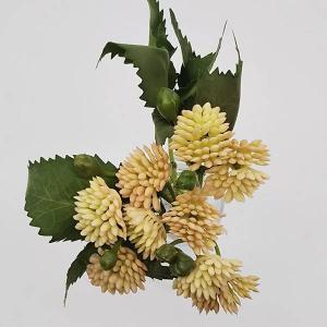 造花 グリーン 実 とりよせ品 セダムビーンズ...の詳細画像2