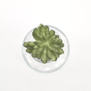 造花 グリーン 多肉植物 とりよせ品 多肉ピッ...の詳細画像1