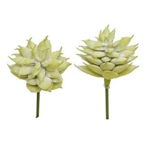 造花 グリーン 多肉植物 とりよせ品 キセロ フェイクグリーン リーフ