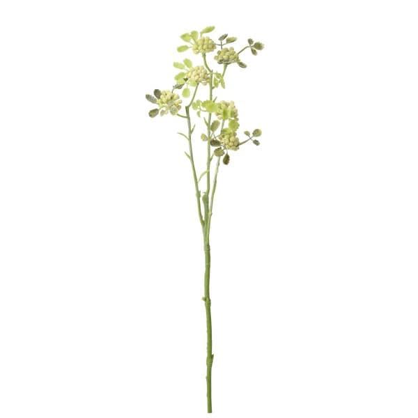 《 造花 》◆とりよせ品◆Parer セダムスプレー グリーンクリーム1セット(24本入り) インテ...