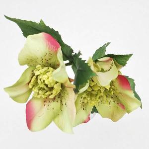 造花 とりよせ品 クリスマスローズ ワサビピン...の詳細画像1