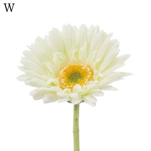 造花 とりよせ品 シングルガーベラ(1セット1...の詳細画像1