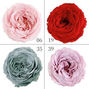 プリザーブドフラワー　バラ　アジサイ　花材　資材　他　まとめ売り プリザーブドフラワー 花材 即日出荷 ゆめアジサイ・ヘッド