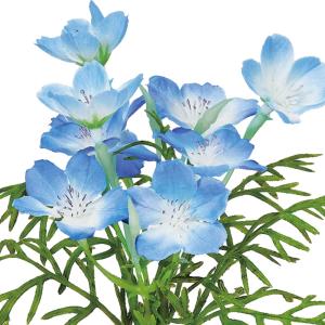 造花 即日出荷 ネモフィラピック×9 小花 髪...の詳細画像1