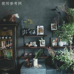 ドライフラワー 花材 即日出荷 テールリード ...の詳細画像5