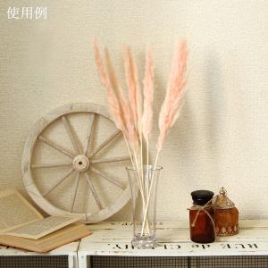ドライフラワー 花材 即日出荷 テールリード ...の詳細画像4