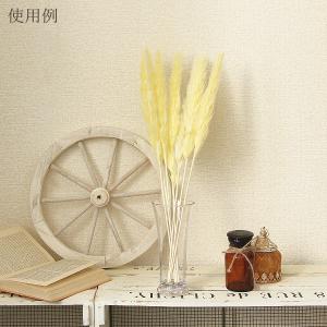 ドライフラワー 花材 即日出荷 テールリード ...の詳細画像4