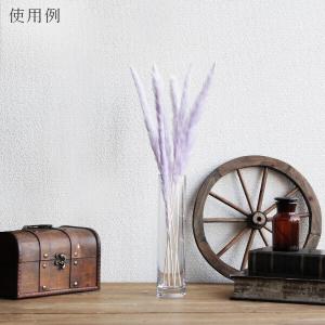 ドライフラワー 花材 即日出荷 テールリード ...の詳細画像4