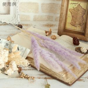 ドライフラワー 花材 即日出荷 テールリード ...の詳細画像5