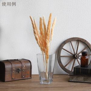 ドライフラワー 花材 即日出荷 テールリード ...の詳細画像4