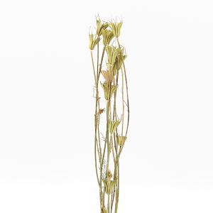 ボタニカルボトル 3本セット ドライフラワー プリザーブドフラワー