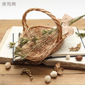 ドライフラワー 花材 即日出荷 ニゲラシード ...の詳細画像4
