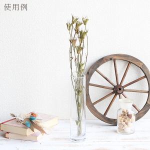 ドライフラワー 花材 即日出荷 ニゲラシード ...の詳細画像5