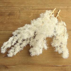 《ドライフラワー 花材》☆出荷☆アスカ ファーンリーフ