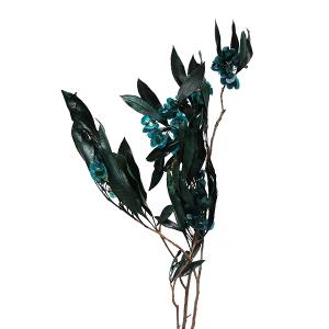 ドライフラワー 花材 即日出荷 【35％OFF】 ホップブッシュ ブルーグリーン (在庫限り) ホップ ドライフラワー スワッグ ブーケ 花 アスカ ASCA アスカ商会