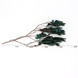 ドライフラワー 花材 即日出荷 【35%OFF...の詳細画像2