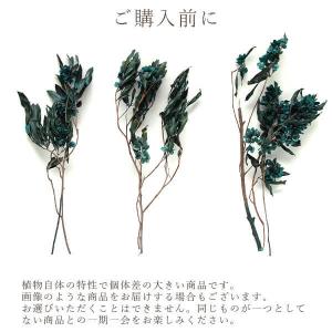 ドライフラワー 花材 即日出荷 【35%OFF...の詳細画像3