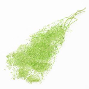 ドライフラワー 花材 即日出荷 ミニカスミ グリーン かすみ カスミ かすみ草 カスミ草 ドライフラワー スワッグ ブーケ 花束 花材 アスカ ASCA アスカ商会