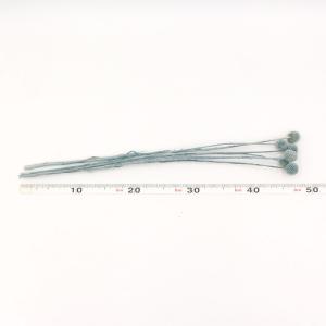 ドライフラワー 花材 即日出荷 クラスぺディア...の詳細画像2