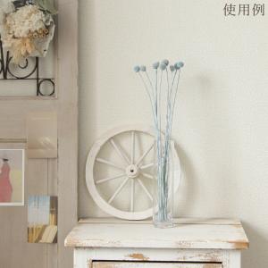 ドライフラワー 花材 即日出荷 クラスぺディア...の詳細画像4