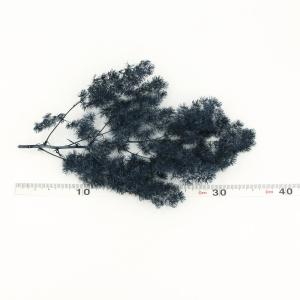 ドライフラワー 花材 即日出荷 ミリオグラタス...の詳細画像2