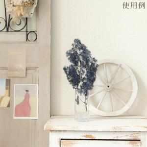 ドライフラワー 花材 即日出荷 ミリオグラタス...の詳細画像4