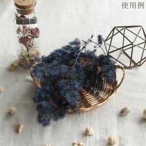 ドライフラワー 花材 即日出荷 ミリオグラタス...の詳細画像5