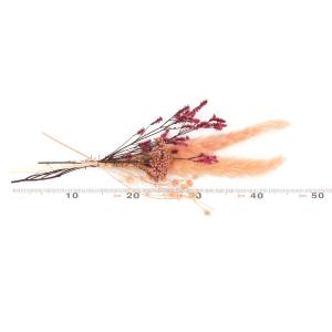 ドライフラワー 花材 即日出荷 ミックスブーケ...の詳細画像2