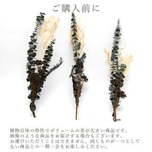 ドライフラワー 花材 即日出荷 ミックスブーケ...の詳細画像3