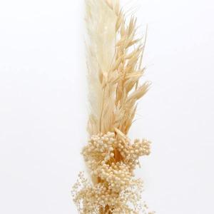 ドライフラワー 花材 即日出荷 【35%OFF...の詳細画像1