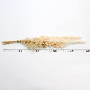 ドライフラワー 花材 即日出荷 【35%OFF...の詳細画像2