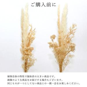 ドライフラワー 花材 即日出荷 【35%OFF...の詳細画像3
