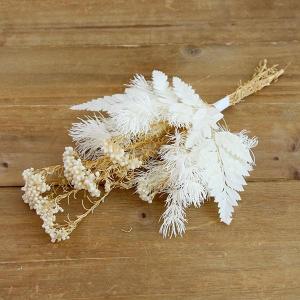 《ドライフラワー 花材》☆出荷☆アスカ  ファーンミックスバンチ