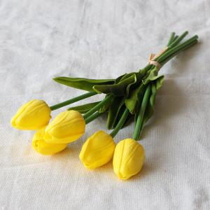 チューリップ ドライフラワーの商品一覧 通販 Yahoo ショッピング