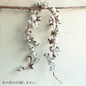 ドライフラワー 花材 クリスマス リース 即日出荷 ガーランドコットン ナチュラル インテリア 綿 綿花 わた ワタ コットン ガーランド クリスマス 正月