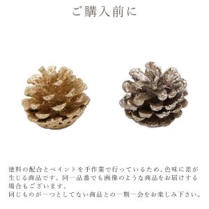 ドライフラワー 花材 即日出荷 グリッターコー...の詳細画像4