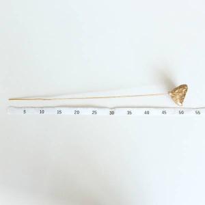 ドライフラワー 花材 即日出荷 RMロータスス...の詳細画像2